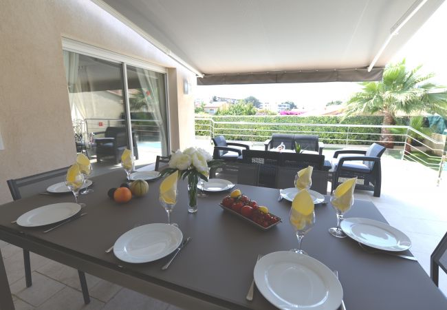 Terrace Terrace