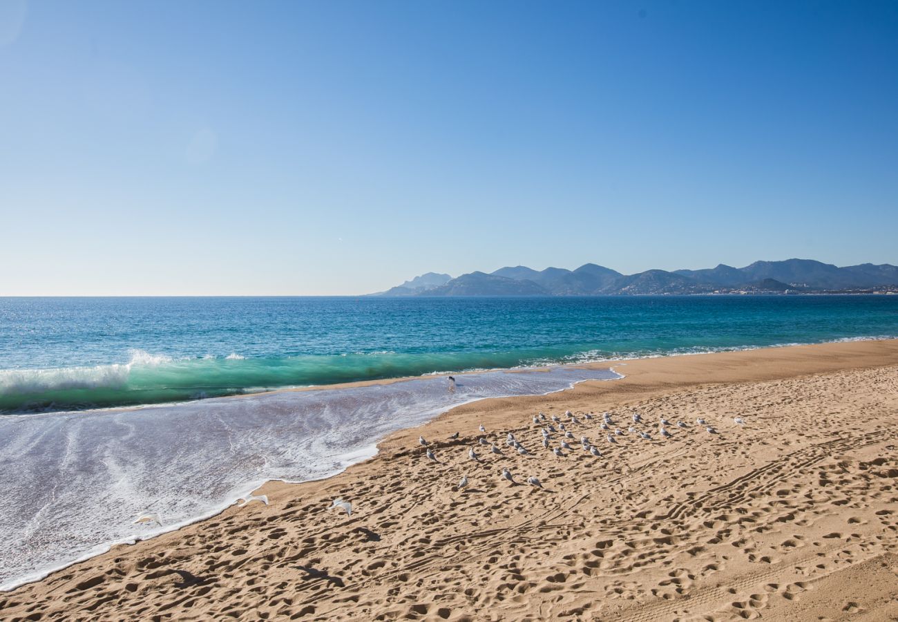 BEACH BEACH