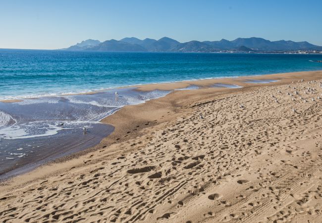 BEACH BEACH