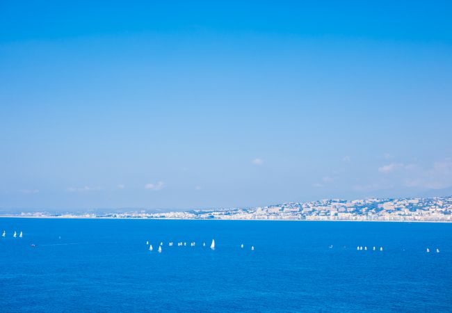 VISTA VIEW