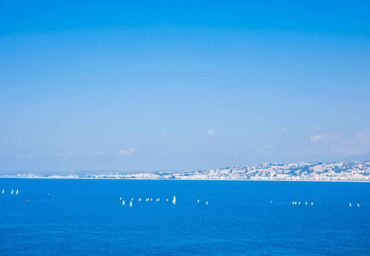 VISTA VIEW