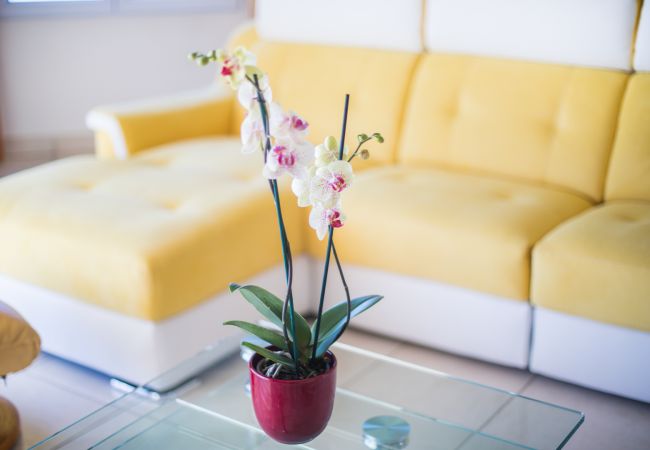 Вилла на Nice - LA CASETTA DEI FIORI, Terrasse avec Piscine by RIVIERA HOLIDAY HOMES Вилла на Nice - LA CASETTA DEI FIORI, Terrasse avec Piscine by RIVIERA HOLIDAY HOMES