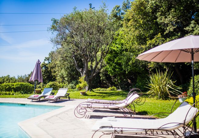 Вилла на Nice -  LOU MAS SOUBRAN, Magnifique Villa, terrasse avec piscine by RIVIERA HOLIDAY HOMES  Вилла на Nice -  LOU MAS SOUBRAN, Magnifique Villa, terrasse avec piscine by RIVIERA HOLIDAY HOMES