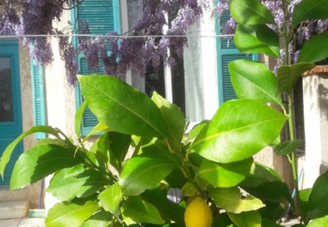 Вилла на Vence - LA VENCIANNE II  Grande Villa avec jardin, piscine  by RIVIERA HOLIDAY HOMES Вилла на Vence - LA VENCIANNE II  Grande Villa avec jardin, piscine  by RIVIERA HOLIDAY HOMES