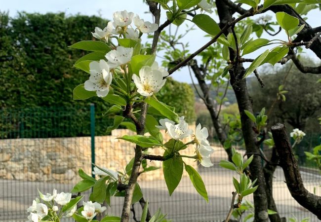 Вилла на Châteauneuf-Grasse - Villa Ock en Bourg - Etoiles du Sud Вилла на Châteauneuf-Grasse - Villa Ock en Bourg - Etoiles du Sud