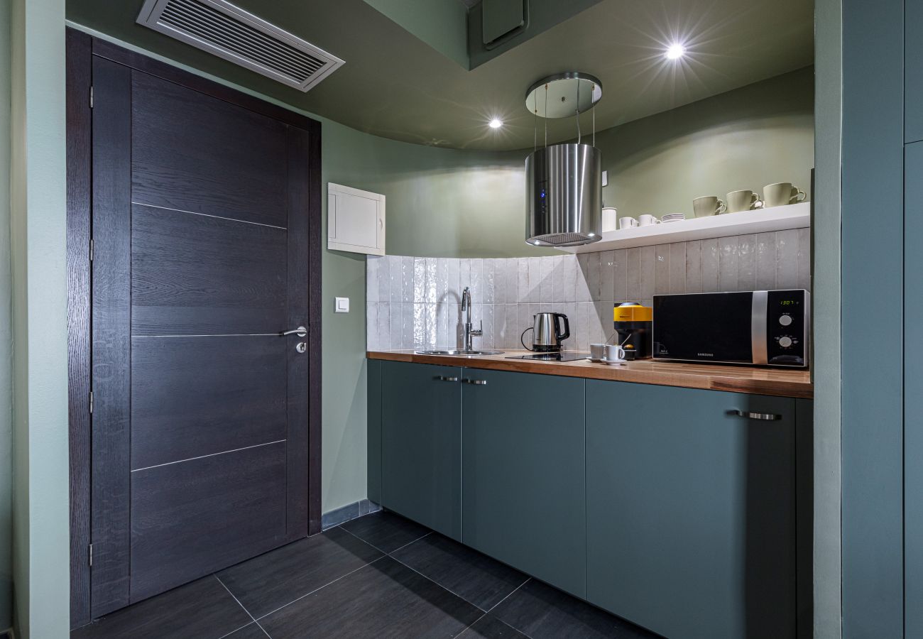 Квартира-студия на Ницца / Nice - Studio Massena 1 AP4528 - climatisation - plages 